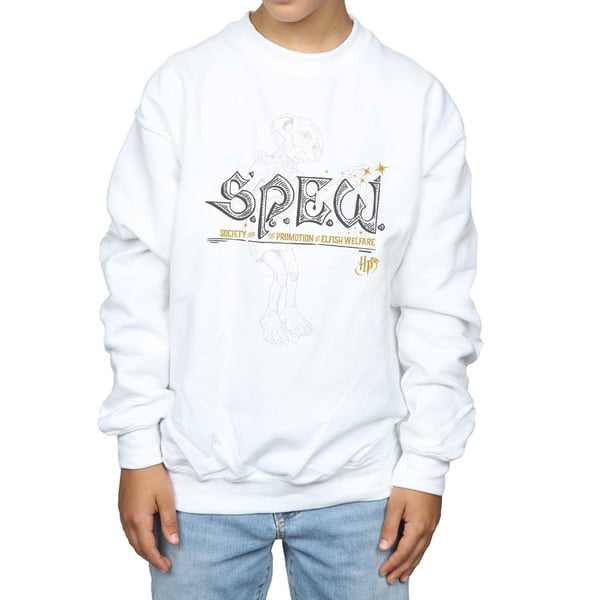 Harry Potter Boys Dobby Elfish Welfare Sweatshirt