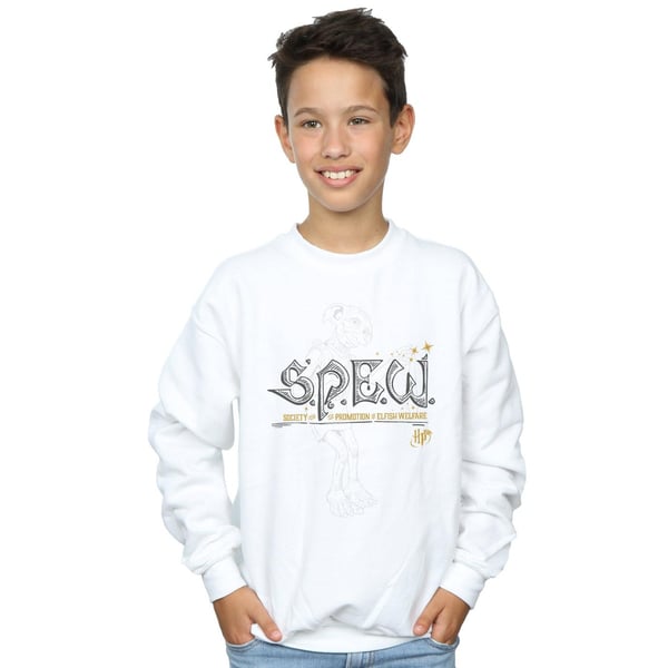 Harry Potter Boys Dobby Elfish Welfare Sweatshirt