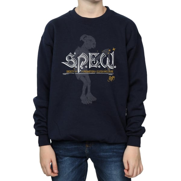 Harry Potter Boys Dobby Elfish Welfare Sweatshirt