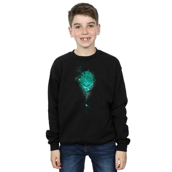 Harry Potter Boys Hogwarts Crest Mist Sweatshirt