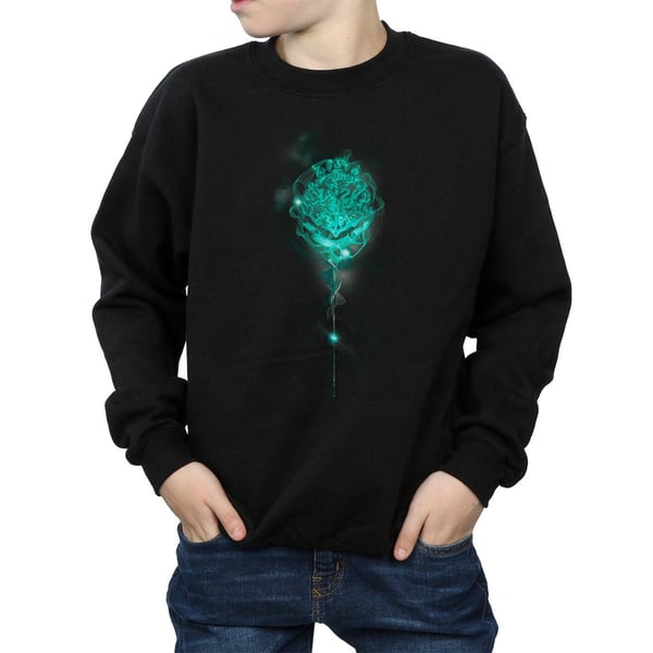 Harry Potter Boys Hogwarts Crest Mist Sweatshirt