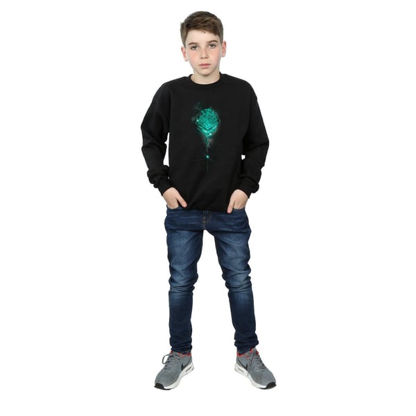 Harry Potter Boys Hogwarts Crest Mist Sweatshirt