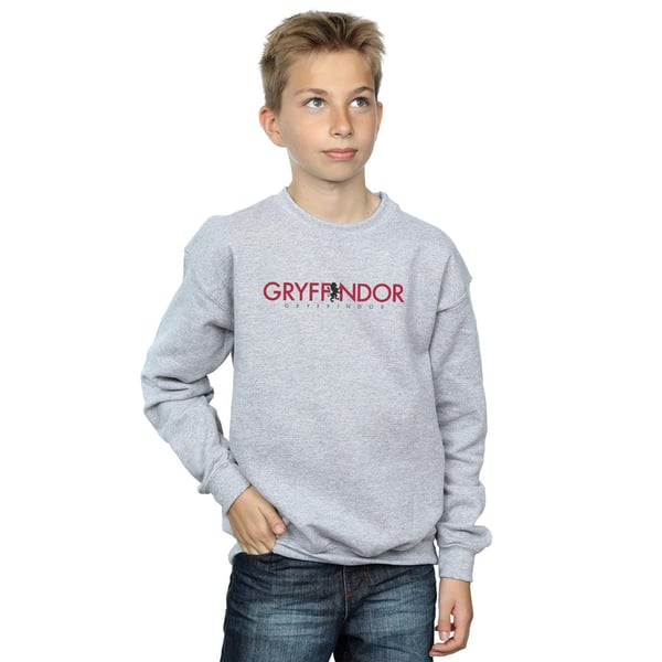 Harry Potter Boys Gryffindor Text Sweatshirt