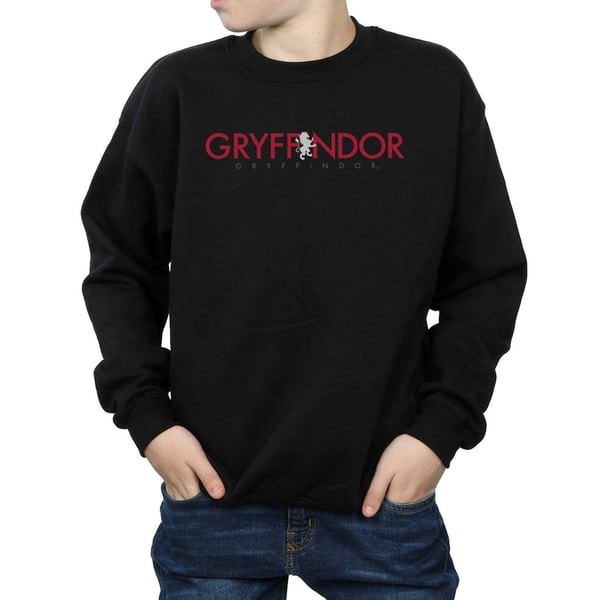 Harry Potter Boys Gryffindor Text Sweatshirt