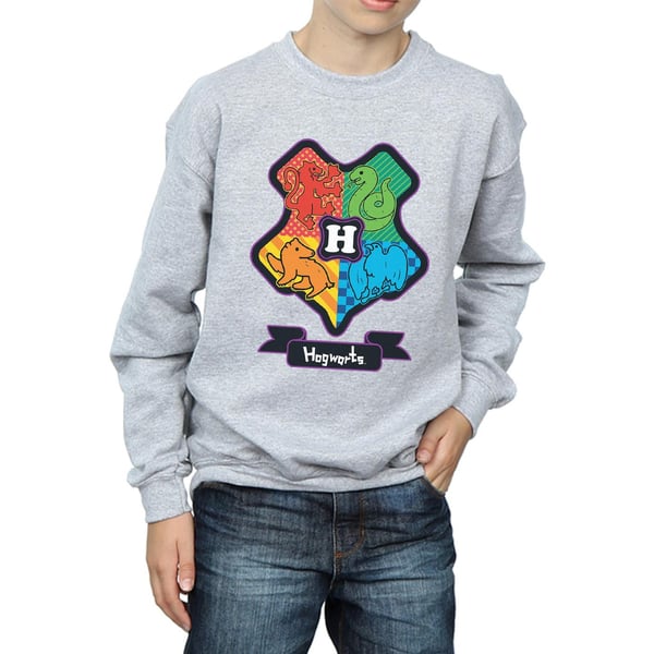 Harry Potter Pojkar Hogwarts Junior Crest Tröja