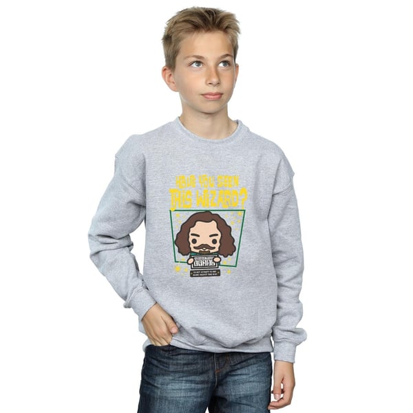 Harry Potter Boys Sirius Black Azkaban Junior Sweatshirt