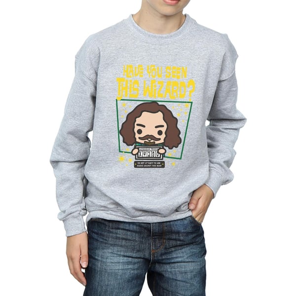 Harry Potter Boys Sirius Black Azkaban Junior Sweatshirt