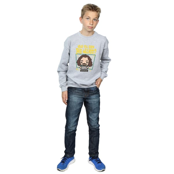Harry Potter Boys Sirius Black Azkaban Junior Sweatshirt