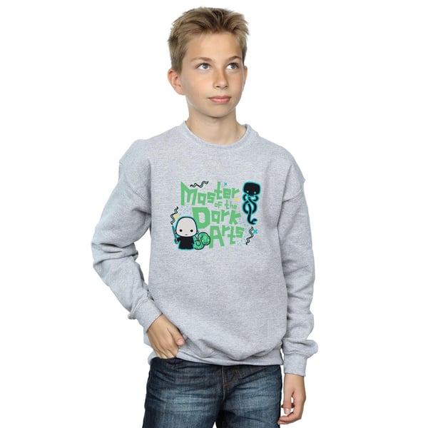 Harry Potter Boys Voldemort Dark Arts Junior Sweatshirt