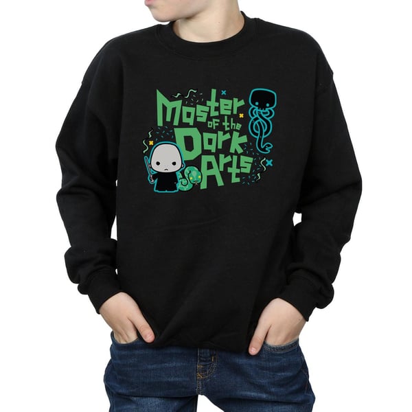 Harry Potter Boys Voldemort Dark Arts Junior Sweatshirt
