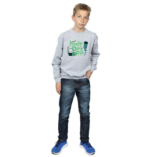 Harry Potter Boys Voldemort Dark Arts Junior Sweatshirt