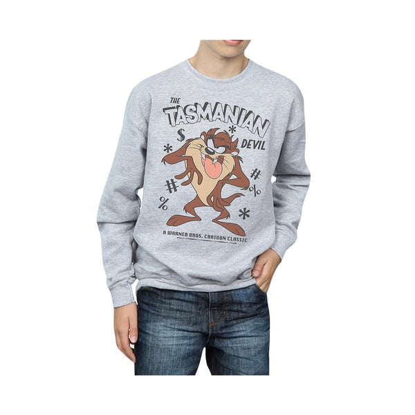 Looney Tunes Boys Tasmanian Devil Vintage Sweatshirt