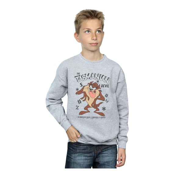 Looney Tunes Boys Tasmanian Devil Vintage Sweatshirt