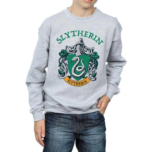 Harry Potter Boys Slytherin Crest Sweatshirt