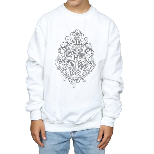 Harry Potter Boys Hogwarts Draco Dormiens Crest Sweatshirt