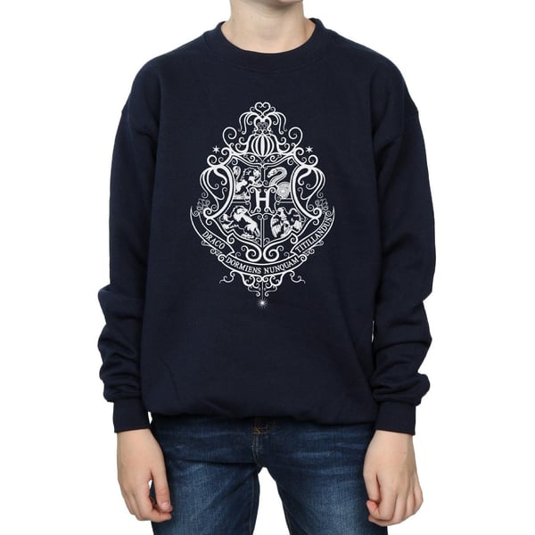 Harry Potter Boys Hogwarts Draco Dormiens Crest Sweatshirt