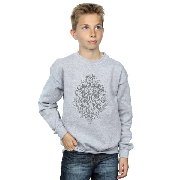 Harry Potter Boys Hogwarts Draco Dormiens Crest Sweatshirt