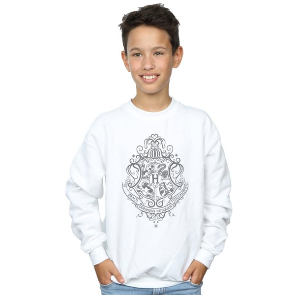 Harry Potter Boys Hogwarts Draco Dormiens Crest Sweatshirt