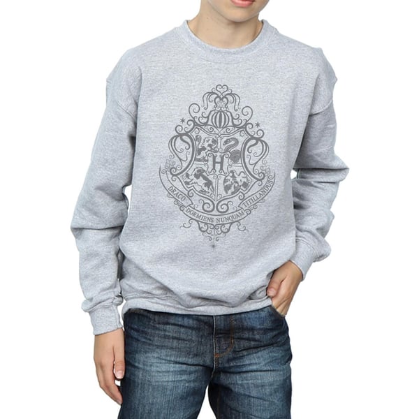 Harry Potter Boys Hogwarts Draco Dormiens Crest Sweatshirt