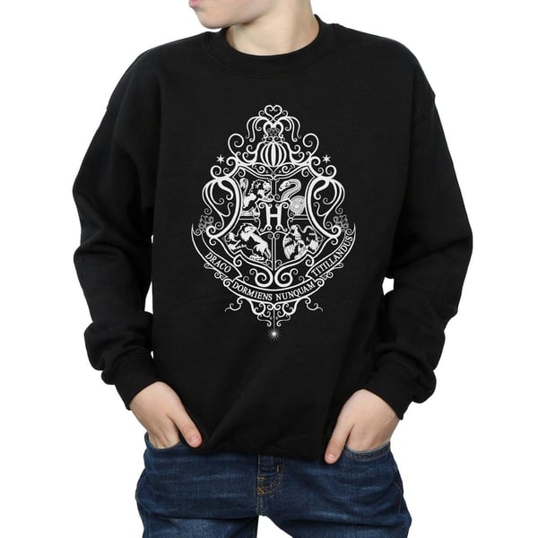 Harry Potter Boys Hogwarts Draco Dormiens Crest Sweatshirt
