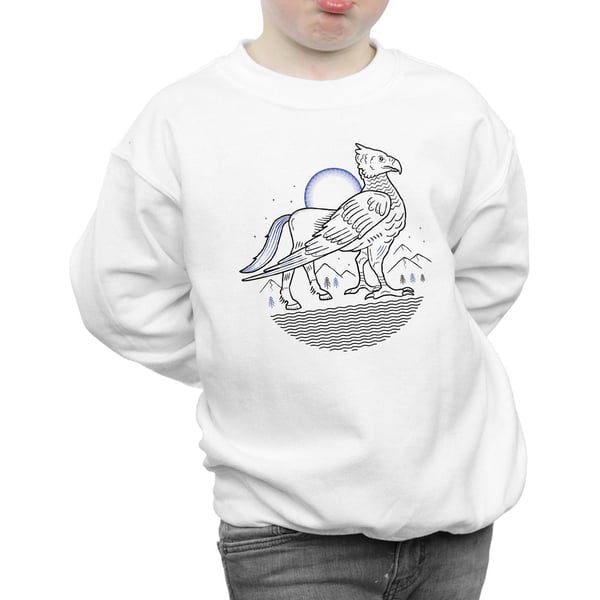 Harry Potter Boys Buckbeak Line Art Sweatshirt