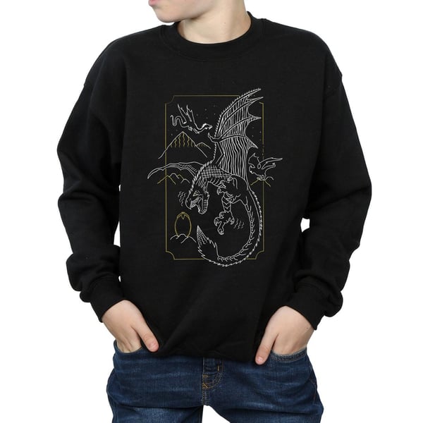Harry Potter Boys Dragon Line Art Sweatshirt
