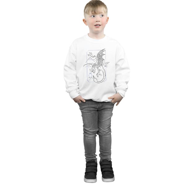 Harry Potter Boys Dragon Line Art Sweatshirt