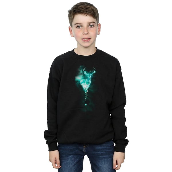 Harry Potter Boys Patronus Mist Stag Sweatshirt