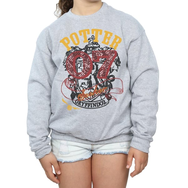 Harry Potter Girls Gryffindor Seeker Sweatshirt
