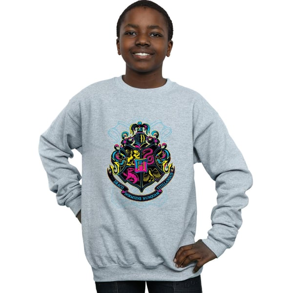 Harry Potter Boys Neon Hogwarts Crest Sweatshirt