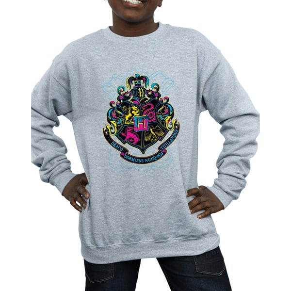 Harry Potter Boys Neon Hogwarts Crest Sweatshirt