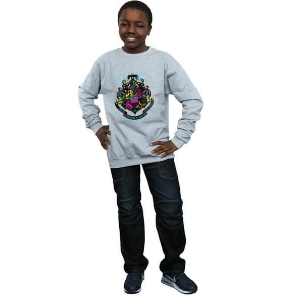Harry Potter Boys Neon Hogwarts Crest Sweatshirt