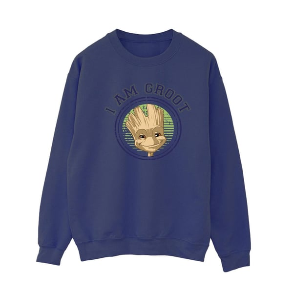 Guardians Of The Galaxy Womens/Ladies Groot Varsity Sweatshirt
