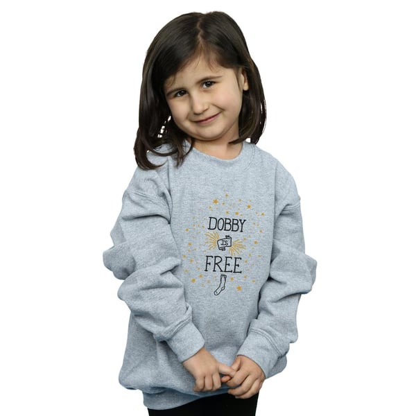 Harry Potter Girls Dobby Is Free Sweatshirt