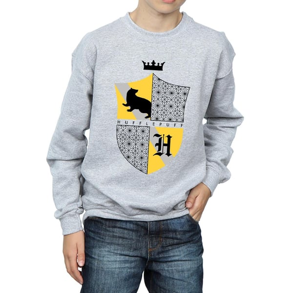 Harry Potter Boys Hufflepuff Shield Sweatshirt
