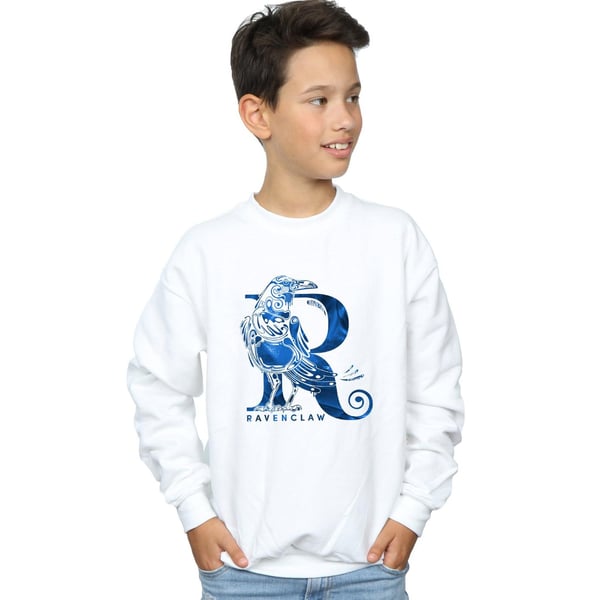 Harry Potter Boys Ravenclaw Raven Sweatshirt