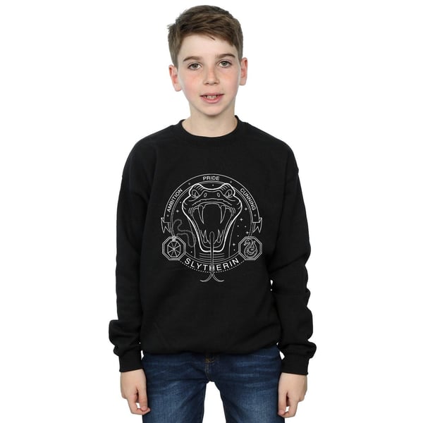 Harry Potter Boys Slytherin Seal Sweatshirt