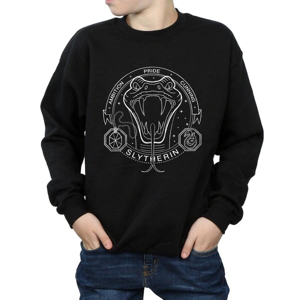 Harry Potter Boys Slytherin Seal Sweatshirt