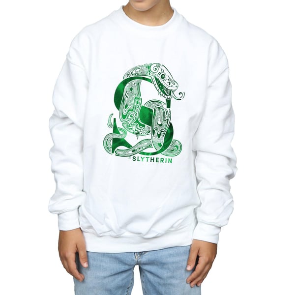 Harry Potter Boys Slytherin Snake Sweatshirt