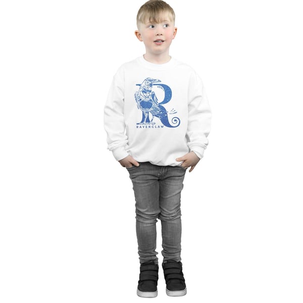Harry Potter Boys Ravenclaw Glitter Sweatshirt