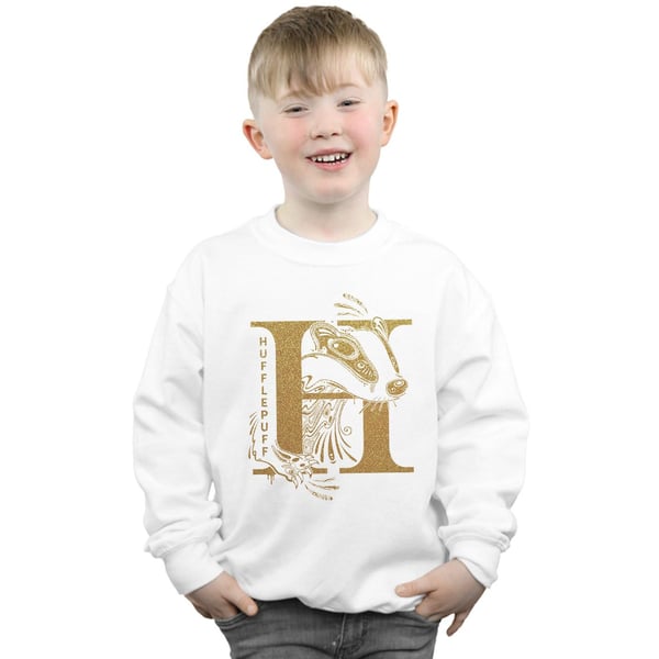 Harry Potter Boys Hufflepuff Glitter Sweatshirt