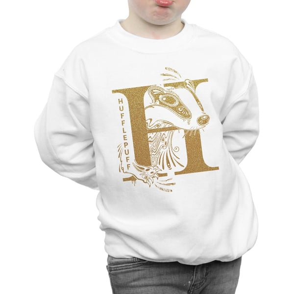 Harry Potter Boys Hufflepuff Glitter Sweatshirt