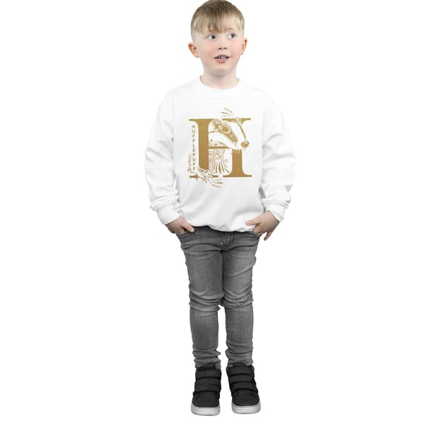 Harry Potter Boys Hufflepuff Glitter Sweatshirt