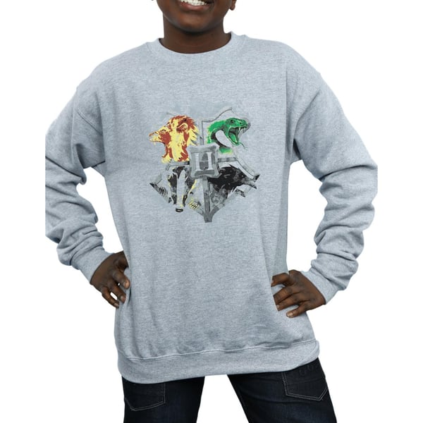 Harry Potter Boys Hogwarts Painted Crest Sweatshirt