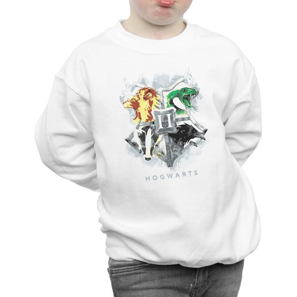 Harry Potter Boys Hogwarts Painted Crest Sweatshirt