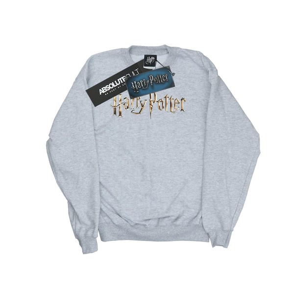 Harry Potter Boys Full Colour Logo Sweatshirt