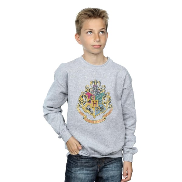 Harry Potter Boys Hogwarts Crest Sweatshirt