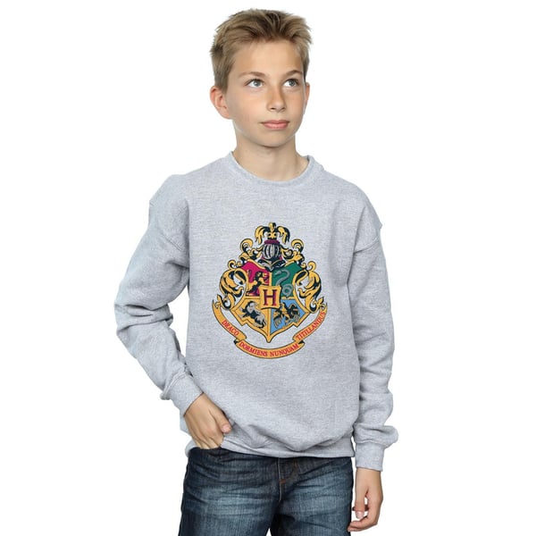 Harry Potter Boys Hogwarts Crest Gold Ink Sweatshirt