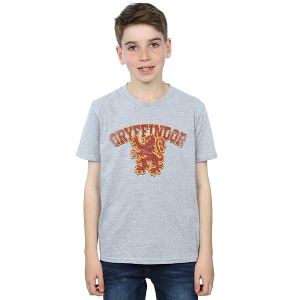 Harry Potter Boys Gryffindor Sport Emblem T-Shirt