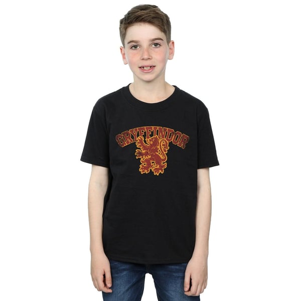 Harry Potter Boys Gryffindor Sport Emblem T-Shirt